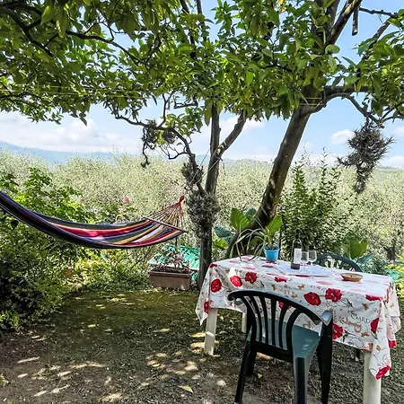 Elisa - Dol127 By Interhome Costa Carnara