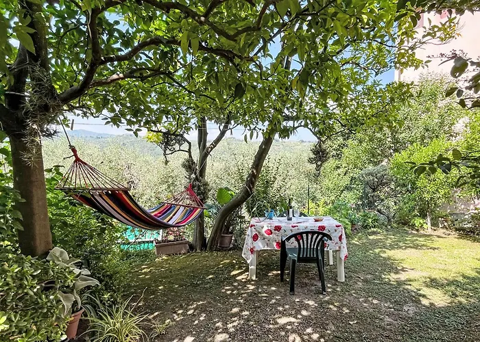 Elisa - Dol127 By Interhome * Costa Carnara