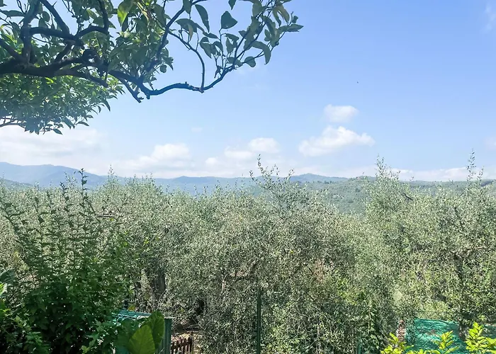 Elisa - Dol127 By Interhome Lägenhet Costa Carnara