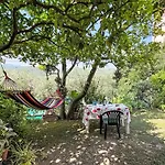 Elisa - Dol127 By Interhome * Costa Carnara