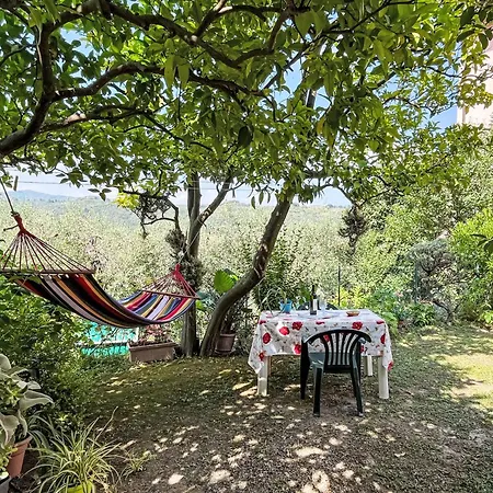 Elisa - Dol127 By Interhome * Costa Carnara